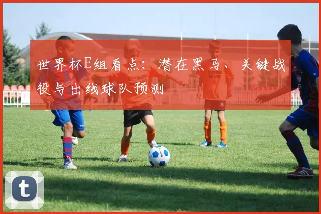世界杯E组看点：潜在黑马、关键战役与出线球队预测